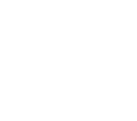 Aleph BI